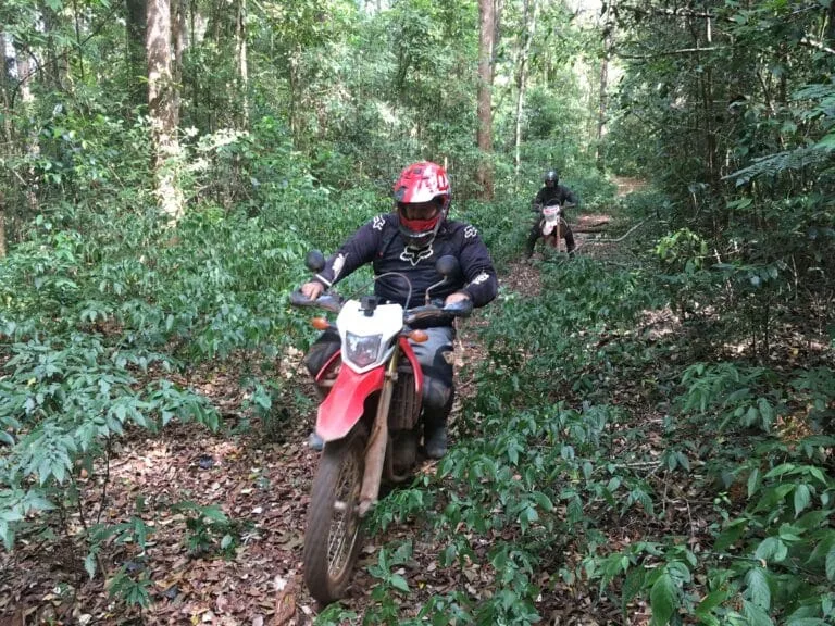 Jungle tracks on a Ho Chi Minh Trail motorcycle tour in Laos