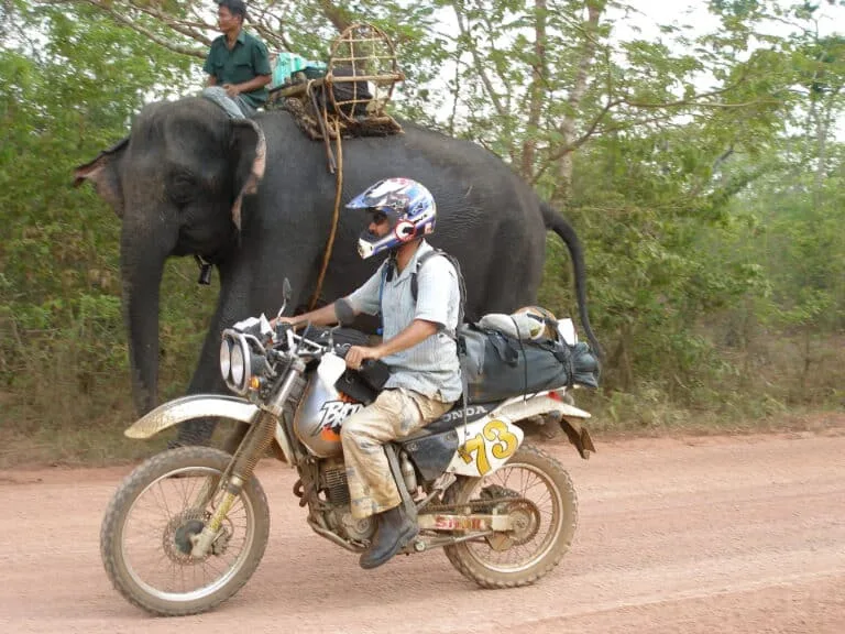An Explore Indochina rider passes an elephant while on a motorbike tour in Laos
